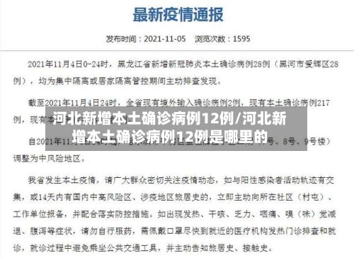 河北新增本土确诊病例12例/河北新增本土确诊病例12例是哪里的-第1张图片
