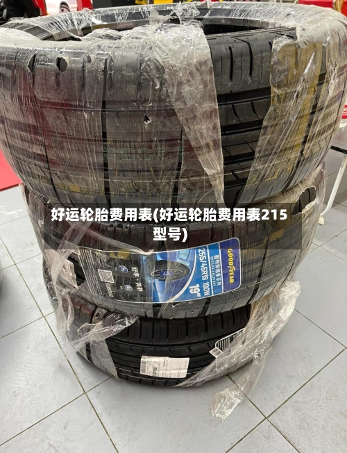 好运轮胎费用表(好运轮胎费用表215型号)-第1张图片