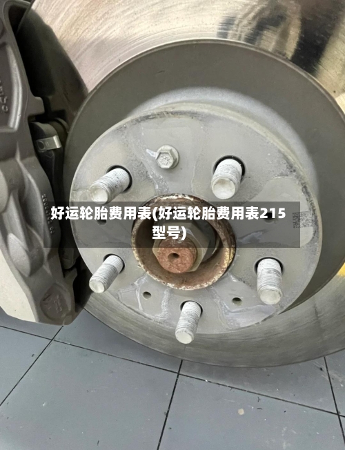 好运轮胎费用表(好运轮胎费用表215型号)-第2张图片