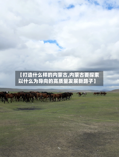 【打造什么样的内蒙古,内蒙古要探索以什么为导向的高质量发展新路子】-第2张图片