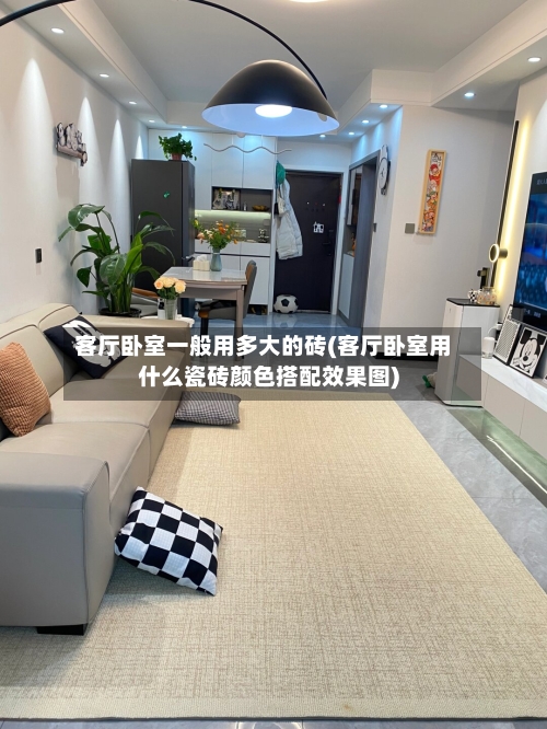 客厅卧室一般用多大的砖(客厅卧室用什么瓷砖颜色搭配效果图)-第3张图片