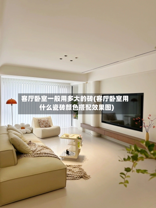 客厅卧室一般用多大的砖(客厅卧室用什么瓷砖颜色搭配效果图)-第2张图片