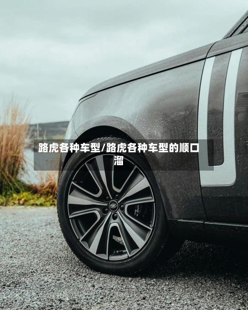 路虎各种车型/路虎各种车型的顺口溜-第2张图片