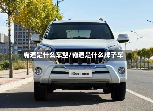 霸道是什么车型/霸道是什么牌子车-第3张图片