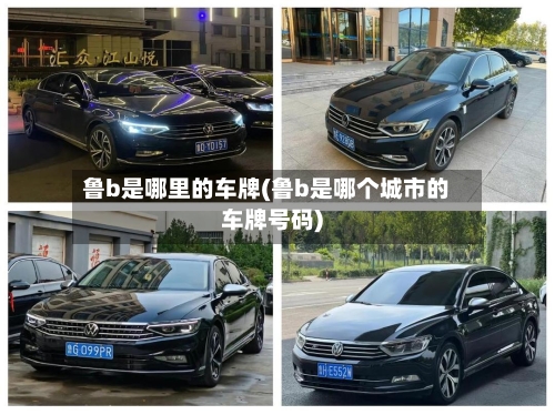 鲁b是哪里的车牌(鲁b是哪个城市的车牌号码)-第1张图片