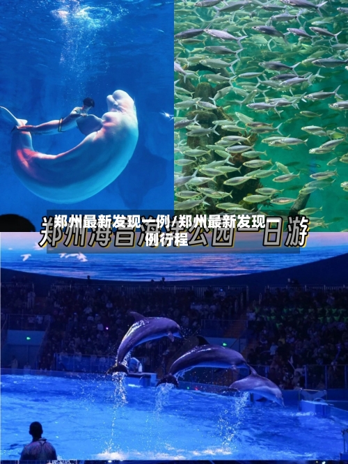郑州最新发现一例/郑州最新发现一例行程-第3张图片