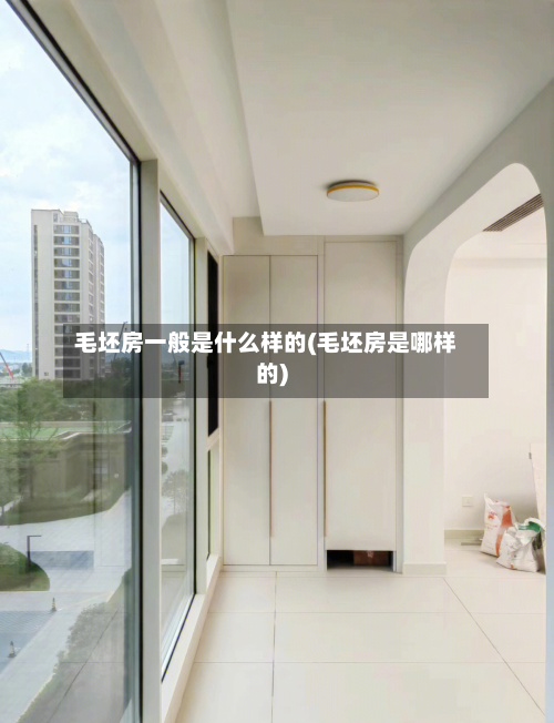 毛坯房一般是什么样的(毛坯房是哪样的)-第1张图片