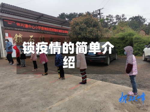 锁疫情的简单介绍-第2张图片