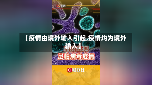 【疫情由境外输入引起,疫情均为境外输入】-第2张图片