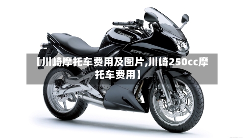 【川崎摩托车费用及图片,川崎250cc摩托车费用】-第1张图片
