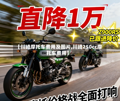 【川崎摩托车费用及图片,川崎250cc摩托车费用】-第2张图片