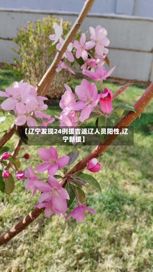 【辽宁发现24例援吉返辽人员阳性,辽宁新援】-第2张图片