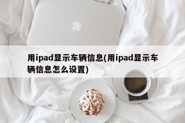 用ipad显示车辆信息(用ipad显示车辆信息怎么设置)