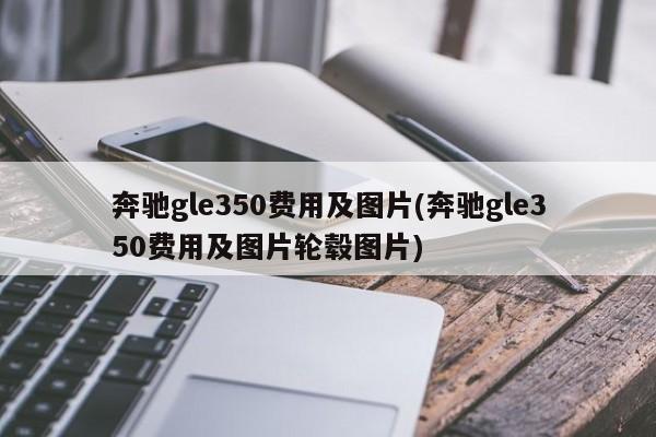 奔驰gle350费用及图片(奔驰gle350费用及图片轮毂图片)
