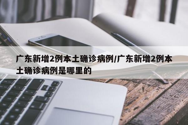 广东新增2例本土确诊病例/广东新增2例本土确诊病例是哪里的